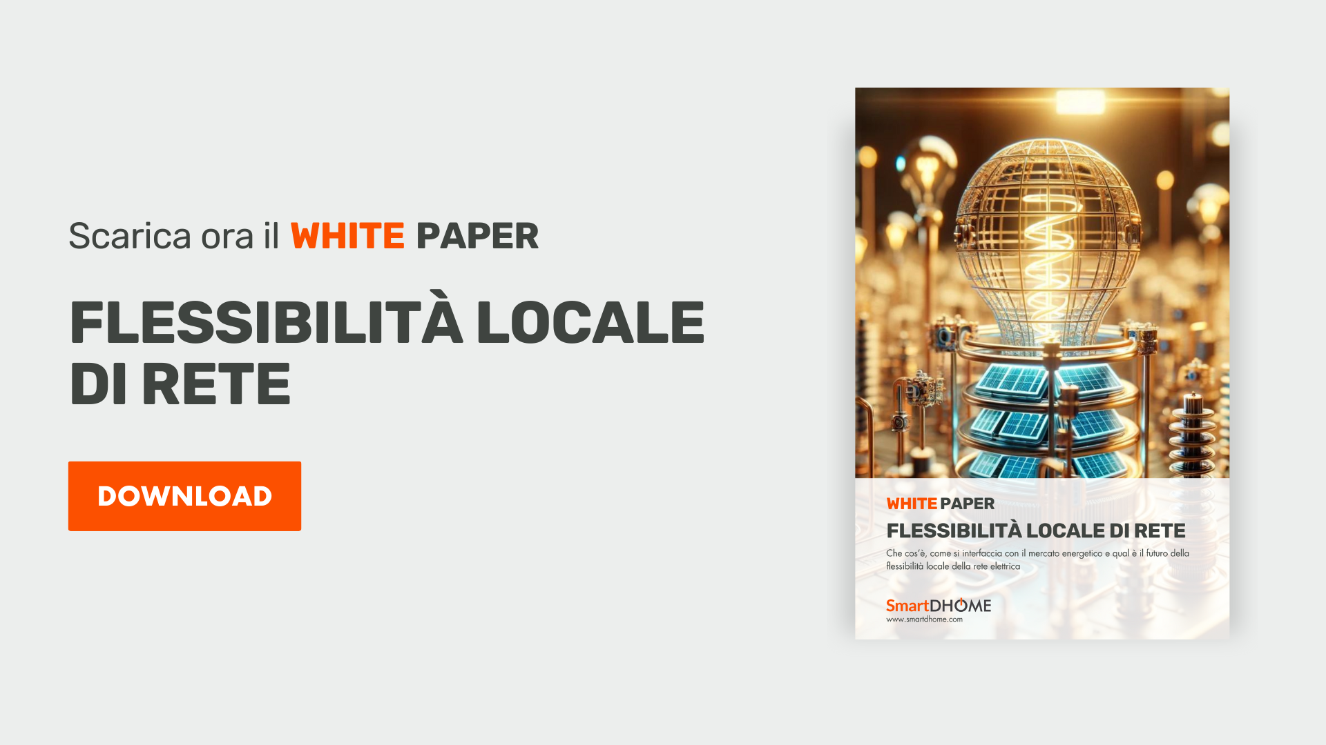 white paper flessibilità locale di rete